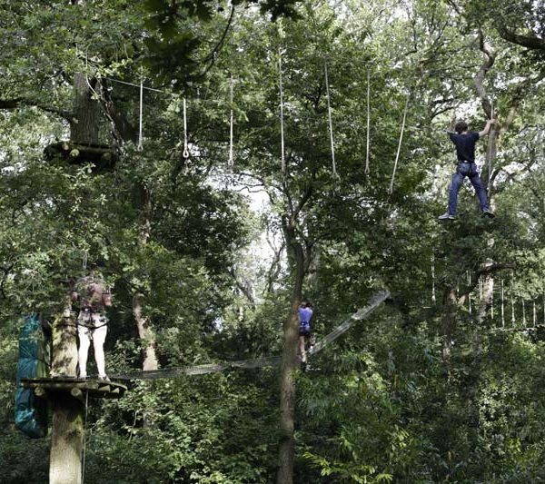 Accrobranche, le parc aventure de définature à Frossay