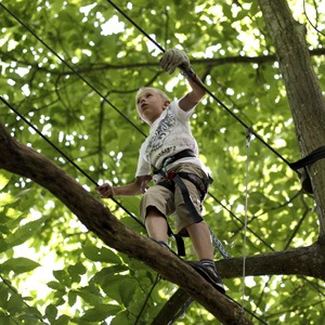 parcours accrobranche vert fonce